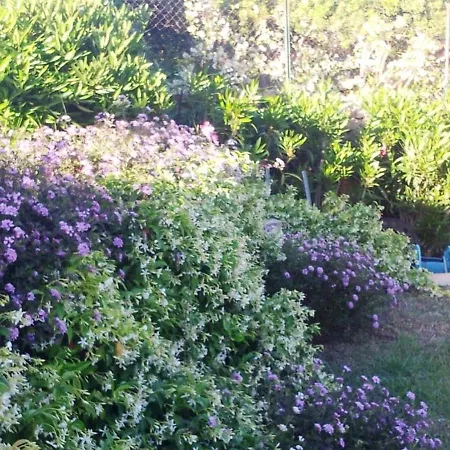 Blumarin * Golfo Aranci