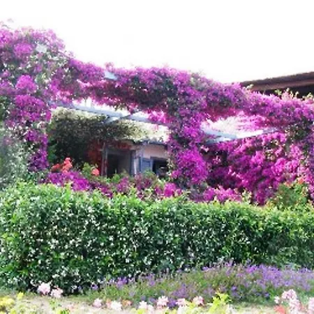 Guest house Blumarin