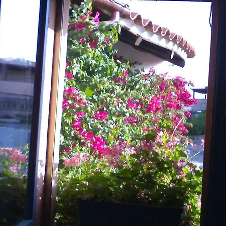 Blumarin Guest house *